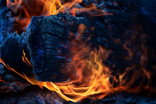 Brennendes Holz in der NachtLagerfeuer im touristischen Lager in der NaturSommerferien Hintergrund