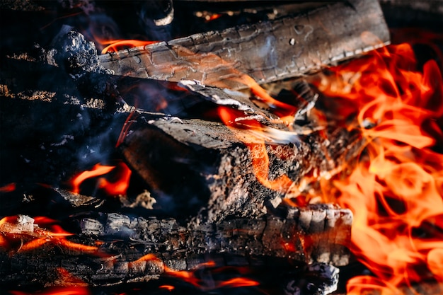 Brennendes Holzkohlebrennholz mit Asche und Flammen