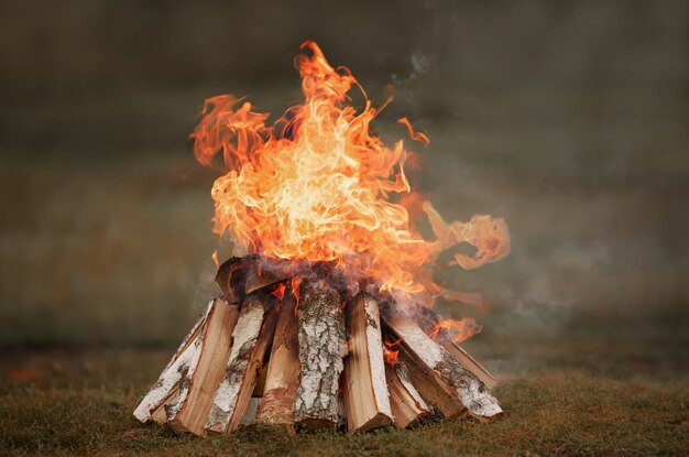 Foto brennendes lagerfeuer ein haufen birkenbrennholz mit orangefarbenen und gelben zungen