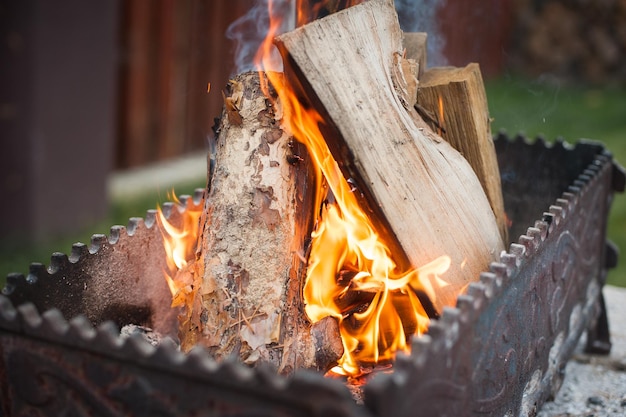 Brennholz brennt im Grill warmes Essenszubereitungs-Kebab-Picknick