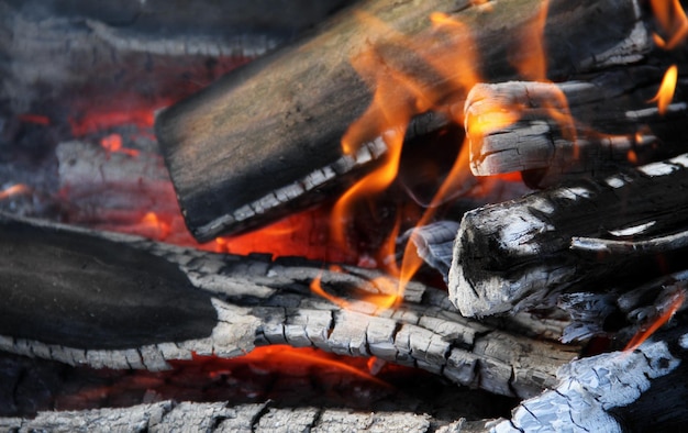 Brennholz, das im Kamin brennt Detailliertes Foto