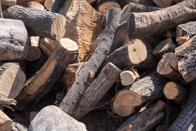 Brennholz ernten gesägte Baumstämme Holzstämme Holz wird getrocknet und für die Winterheizung vorbereitet