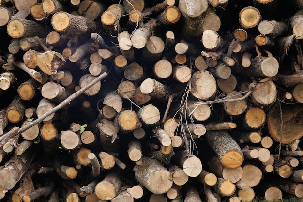 Brennholz für den Winter ernten Stapel von gestapeltem Brennholz, das für die Beheizung des Hauses im Winter vorbereitet wurde Gehacktes Brennholz auf einem Stapel Brennholz gestapelt und für den Winter vorbereitet Stapel von Holzscheiten