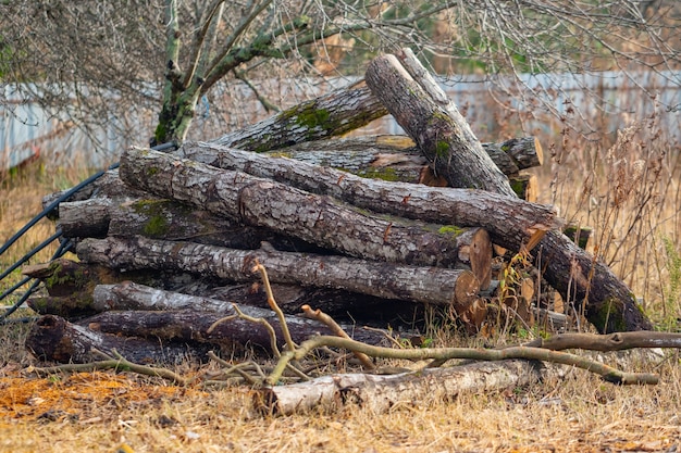 Brennholz im Hof für den Winter vorbereitet. Natur.