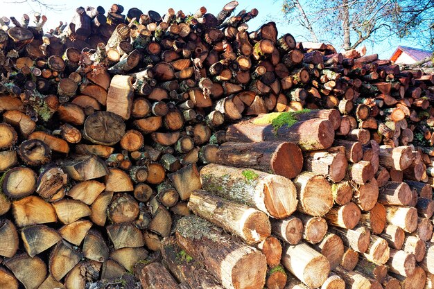 Brennholz in einem Holzstapel kombiniert.