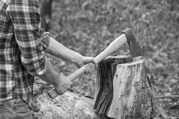 Brennholz schneiden Holz hacken Holzhacker in männlichen Händen Lumbermans Ausrüstung Forstwirtschaft Protokollierung Holzernte Sommernatur