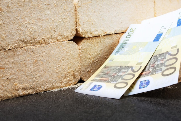 Brennstoffbriketts aus Sägemehl und Euro-Banknoten aus nächster Nähe Konzept des teuren Brennstoffs