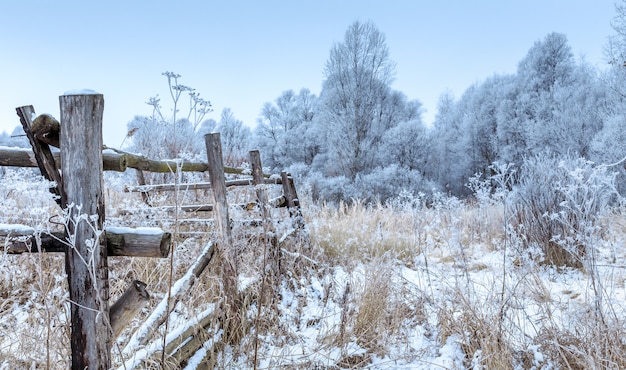 Bretterzaun im Winterwald.