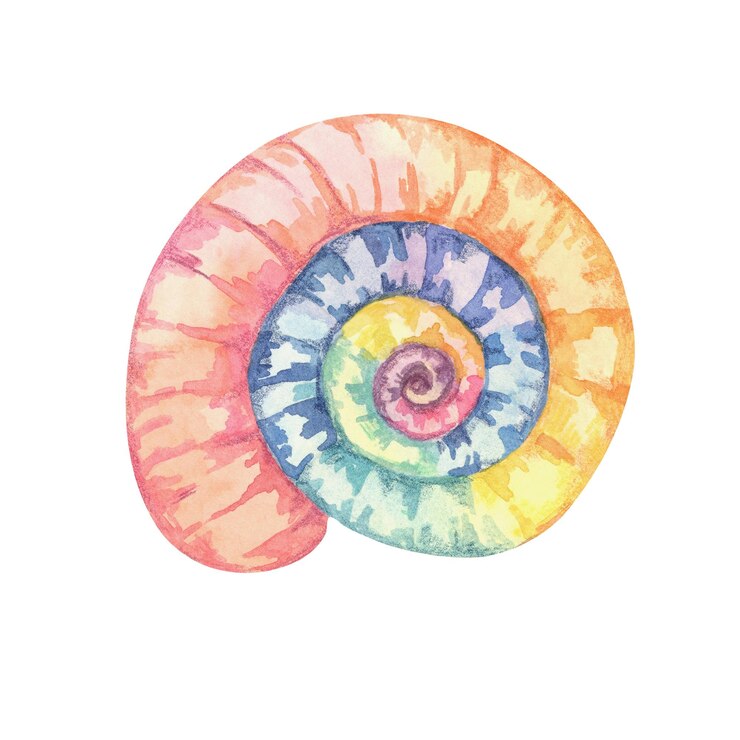 Foto brillante concha espiral multicolor concha de murex arco iris clipart acuarela ilustración caprichosa de la vida marina