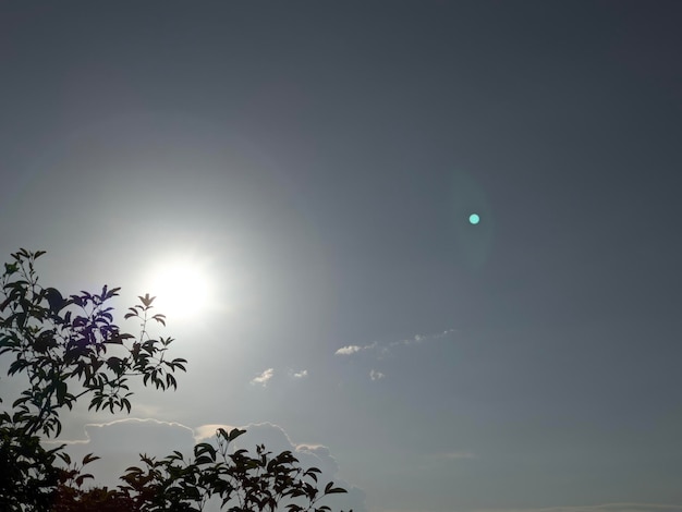 Foto la brillante luz del sol detrás de los árboles por la noche