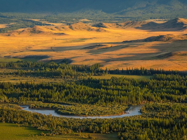 Brillante paisaje otoñal soleado con río sinuoso y valle dorado iluminado por el sol con abetos verdes en la ladera de la montaña bajo un cielo nublado Impresionante paisaje alpino con hermosas montañas bajo el sol dorado