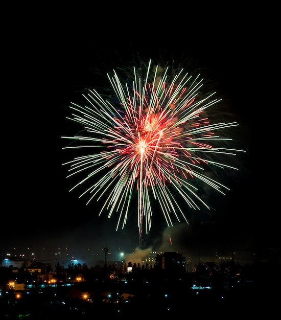 Brillantemente coloridos fuegos artificiales y saludo de varios colores en el cielo nocturno