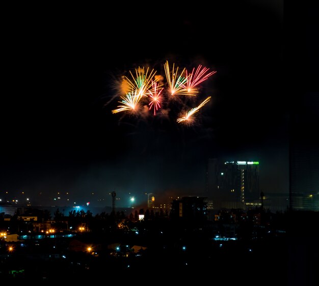 Brillantemente coloridos fuegos artificiales y saludo de varios colores en el cielo nocturno