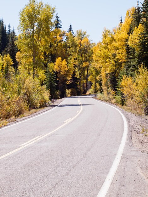 Los brillantes colores del otoño adornan una carretera rural en Colorado.