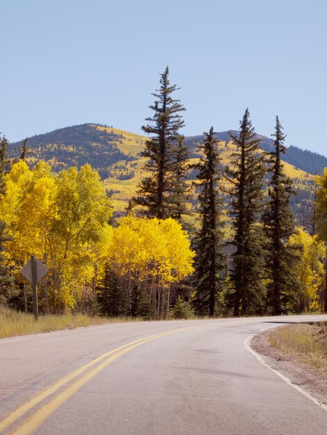 Los brillantes colores del otoño adornan una carretera rural en Colorado.