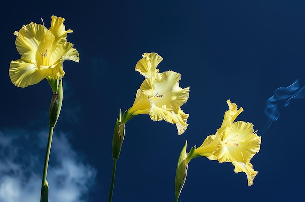 Las brillantes flores de iris amarillas que florecen contra un cielo azul profundo capturan la esencia de la primavera