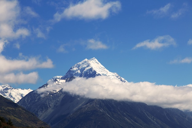 Bringen Sie Koch in Nationalpark, Neuseeland an