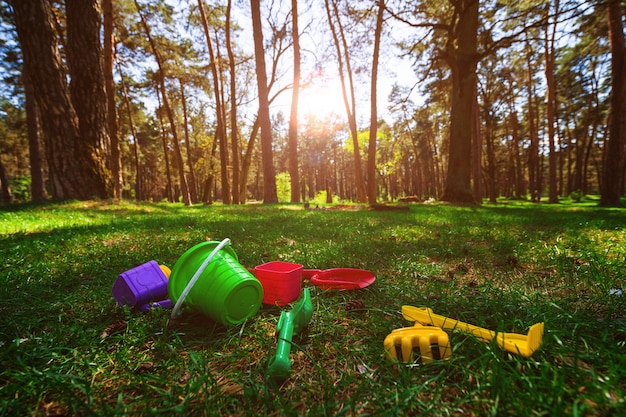 Brinquedos infantis na bela floresta estão espalhados