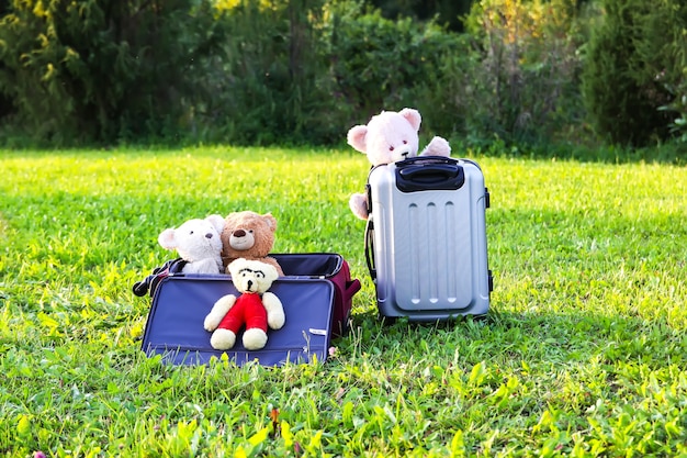 Brinquedos macios em malas de viagem na grama verde, ao ar livre, à luz do sol.