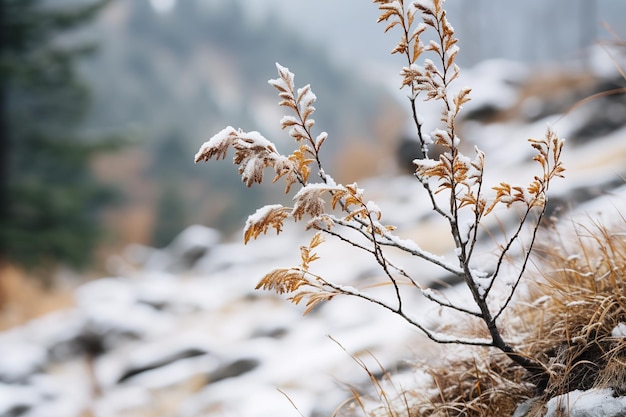 Brisa suave da floresta montanhosa, cenário de céu nevado balançando plantas de inverno e galhos serenos em uma cena natural tranquila