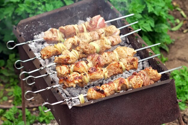 Brocheta de cerdo al fuego. Apetitoso shish kebab de carne fresca preparado en una parrilla de carbón de leña, outdor