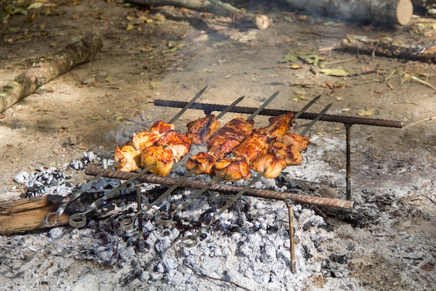 Brochetas de cerdo Kebab Shashlik Barbacoa en picnic