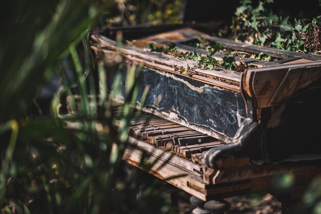 Brocken e piano de cauda abandonado