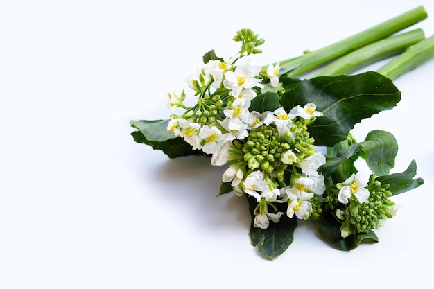 Brócoli bebé verde con flor de col rizada china sobre fondo blanco.