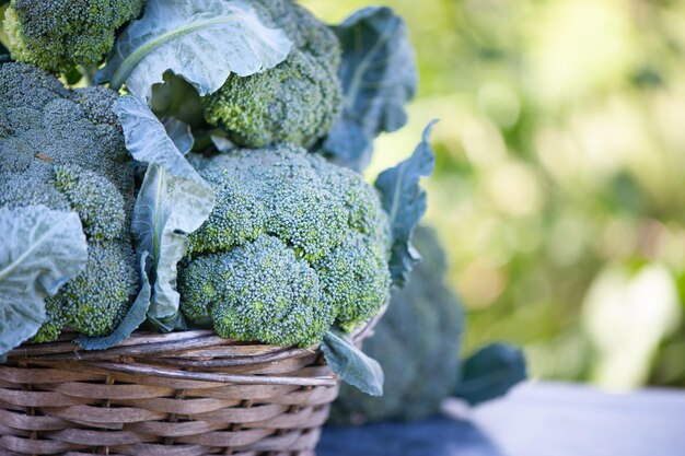 Brócoli en un primer plano de la cesta en un espacio de fondo verde natural para el texto