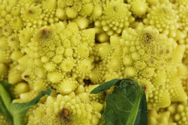 Brócoli romanesco de cerca