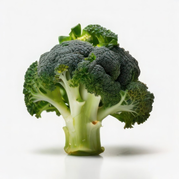 Foto brócoli sobre un fondo blanco sencillo
