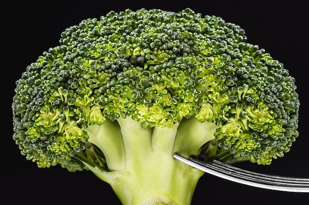 Brócoli en un tenedor de plata Fondo negro vegetal isolatedConcept y concepto de dieta pérdida de peso alimentación saludable fotografía macro