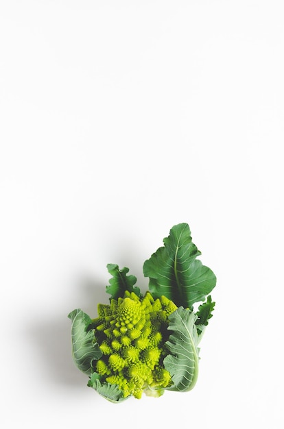 Brócolis romanesco com folhas em fundo branco, com espaço de cópia.