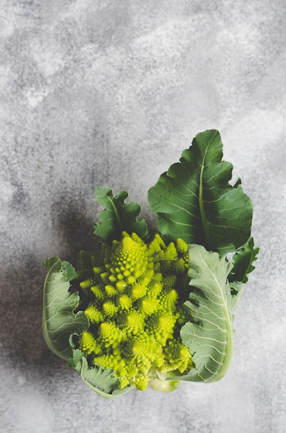 Brócolis romanesco com folhas em fundo cinza com espaço de cópia.