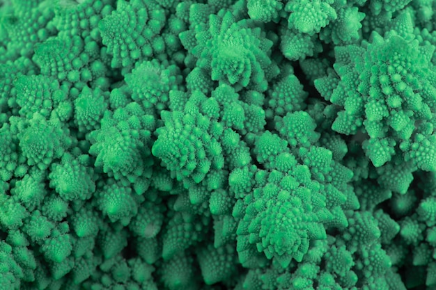 Foto brócolis romanesco verde brilhante (couve-flor romana) como uma fantasia abstrata