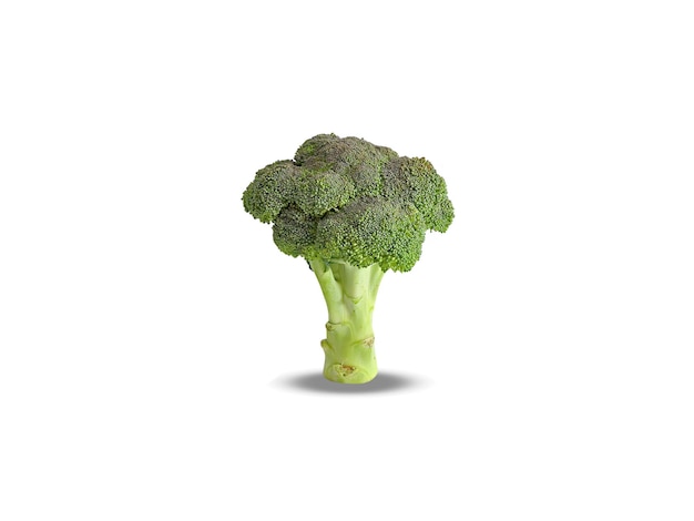 Brokkoli Brassica oleracea auf weißem Hintergrund