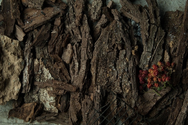 Brombeerbeeren auf einem Rindenhintergrund eines Baums