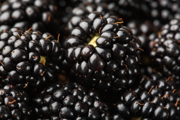 Brombeeren-Hintergrund Closeup reife Brombeeren Makroaufnahme