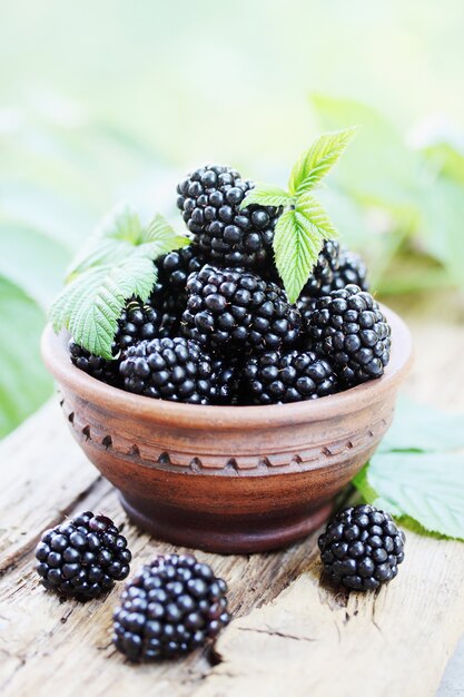 Brombeeren in einer Keramikschale