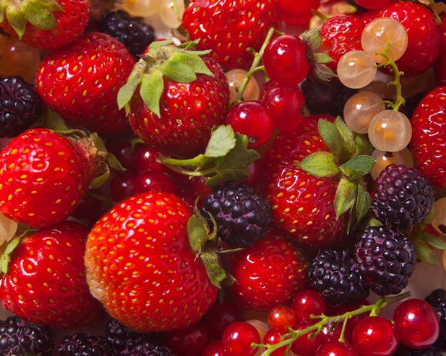 Brombeeren, rote und weiße Johannisbeere und Erdbeere