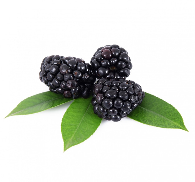 Brombeeren und Blätter