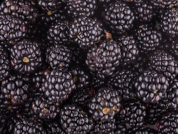 Brombeeren