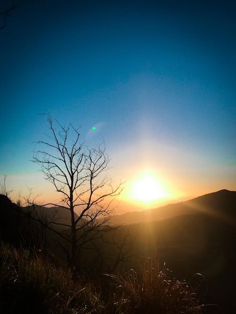 Bromo bela vista