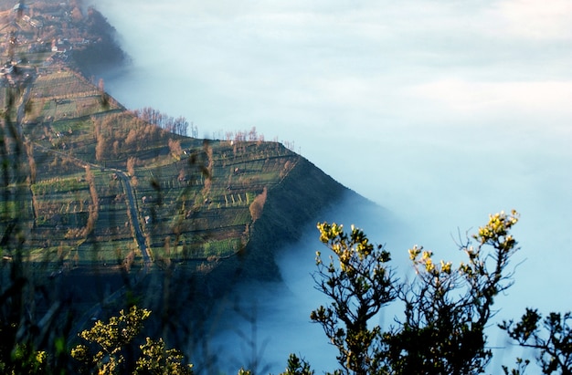 Bromo indonesia