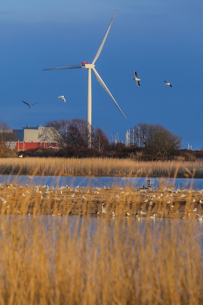 Foto brondby strandpark in dänemark