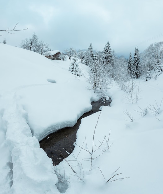 Brook en las montañas de los Cárpatos de invierno