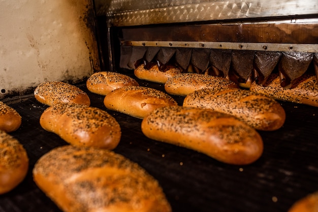 Brot. Brotproduktionslinie. Brot auf dem Förderband.