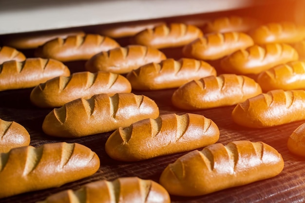 Brot im Ofen Brötchen backen Konditorei Anlage zur Herstellung von Brot