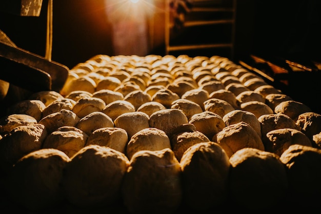 Brotbacken in der Bäckerei Ungekochter Brotteig auf einem Gestell, das zum Backen im Ofen bereit ist Zubereiteter roher Brotteig, der in Laibe auf dem Regal geformt wird Racks mit ungekochtem Gebäckteig Lebensmittelindustrie