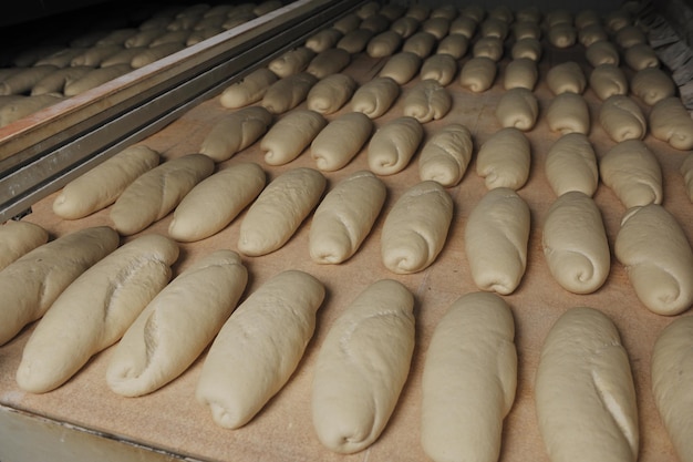 Brotbäckerei Essen Fabrikproduktion mit frischen Produkten